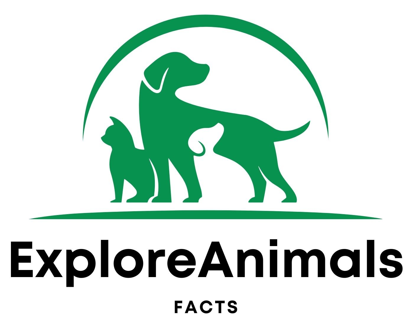Exploreanimalsfacts