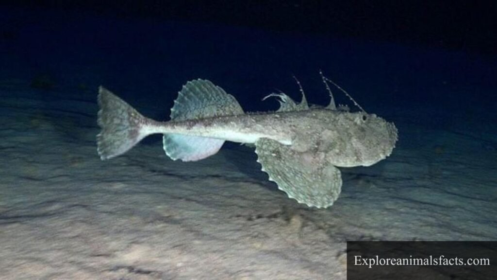 4 animals that swallow their food whole

