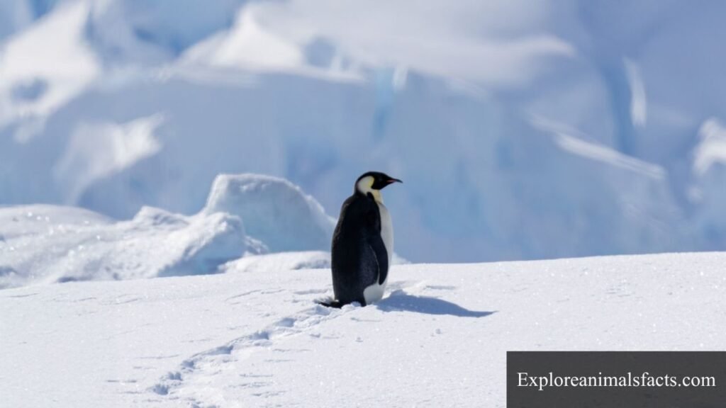 Top 10 Animals That Swallow Their Food Whole
